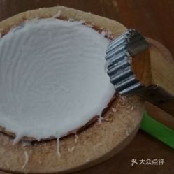 陳御椰子冰 凱悅?cè)A庭店 的一粒椰青好不好吃 用戶評價口味怎么樣 汕頭美食一粒椰青實拍圖片 大眾點評