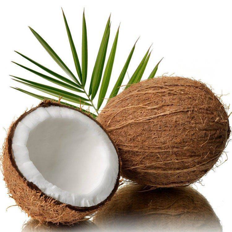源頭好貨 山東福椰子食品20kg桶裝食用椰子油及氫化椰子油批發指南